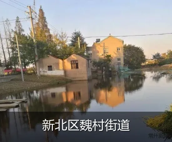 新北区魏村街道